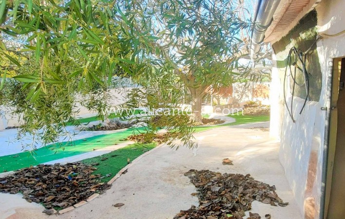 Venta - Villa  - Aspe