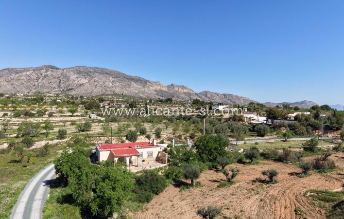 Sale - Finca - Hondón de las Nieves