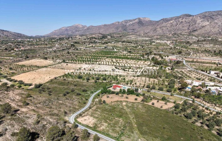 Sale - Finca - Hondón de las Nieves