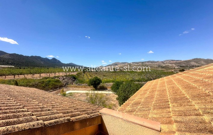 Sale - Villa  - La Romana