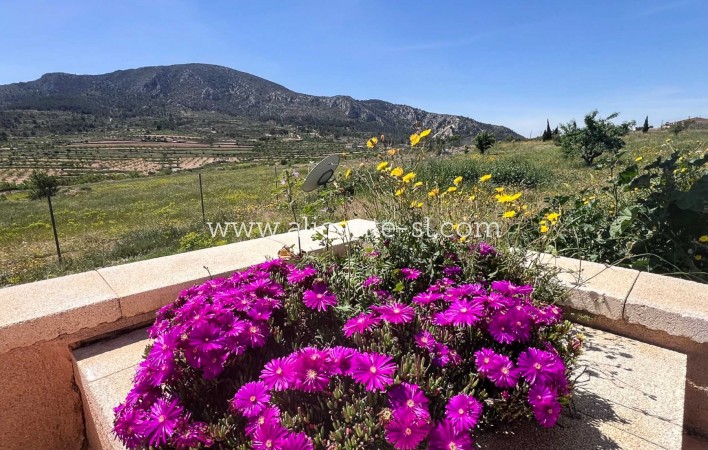 Sale - Villa  - La Romana
