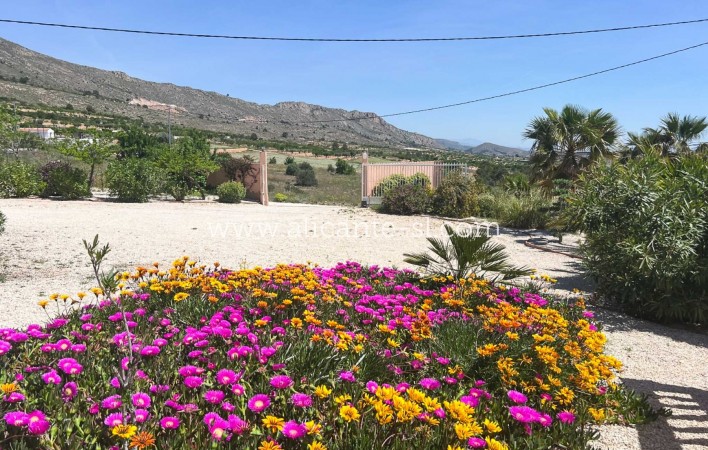 Sale - Villa  - La Romana