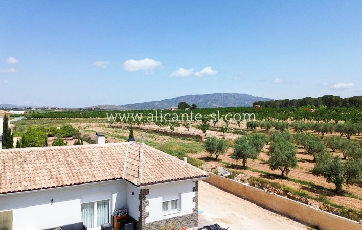 Sale - Villa  - Pinoso