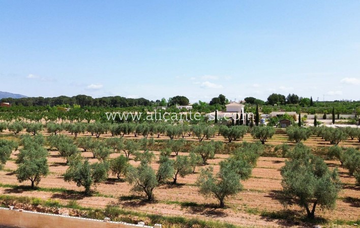 Sale - Villa  - Pinoso