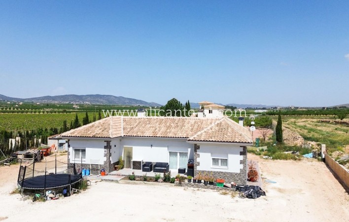 Sale - Villa  - Pinoso
