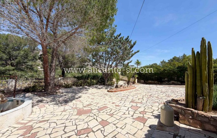 Sale - Finca - Hondón de las Nieves