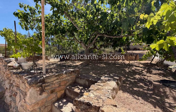 Sale - Finca - Hondón de las Nieves