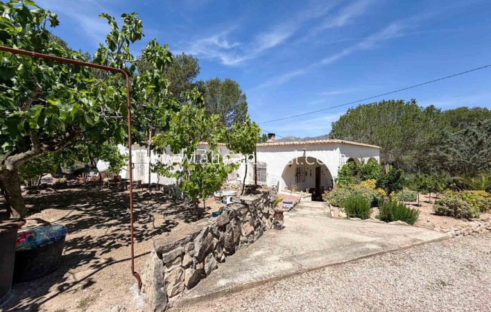 Sale - Finca - Hondón de las Nieves