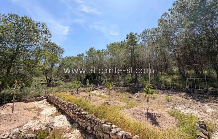 Sale - Finca - Hondón de las Nieves