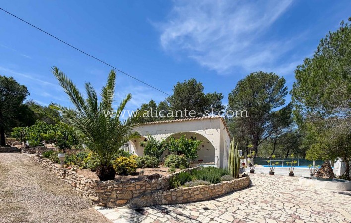 Sale - Finca - Hondón de las Nieves