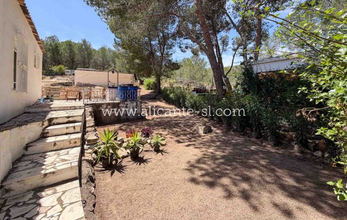 Sale - Finca - Hondón de las Nieves