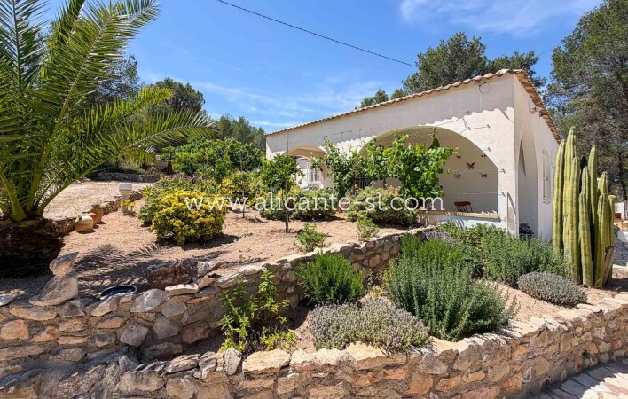 Sale - Finca - Hondón de las Nieves