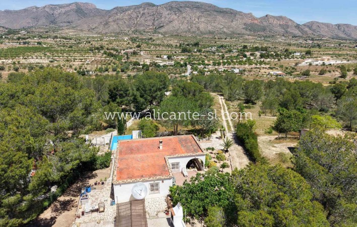 Sale - Finca - Hondón de las Nieves