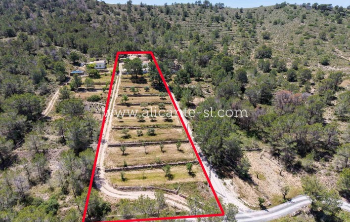 Sale - Finca - Hondón de las Nieves