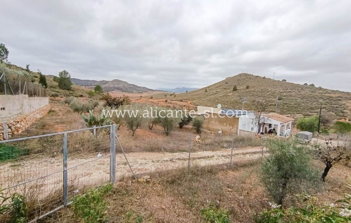 Sale - Country House - Algueña