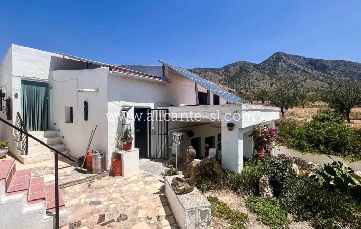 Sale - Country House - Algueña