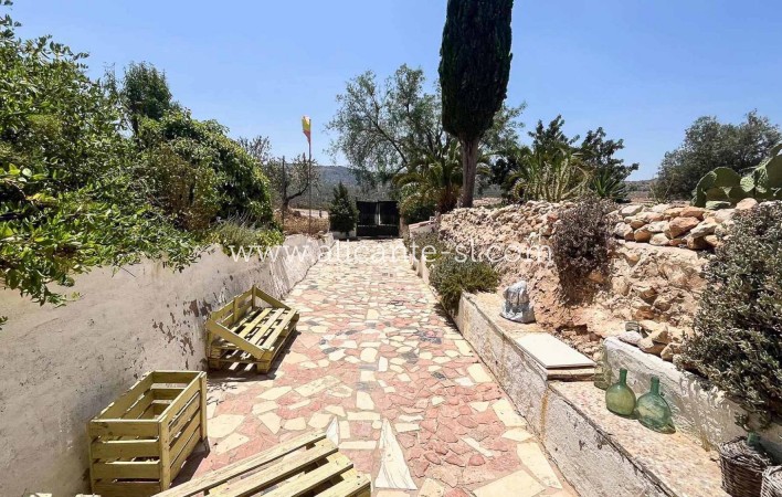 Sale - Country House - Algueña