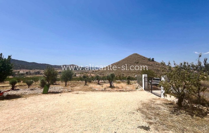 Sale - Country House - Algueña
