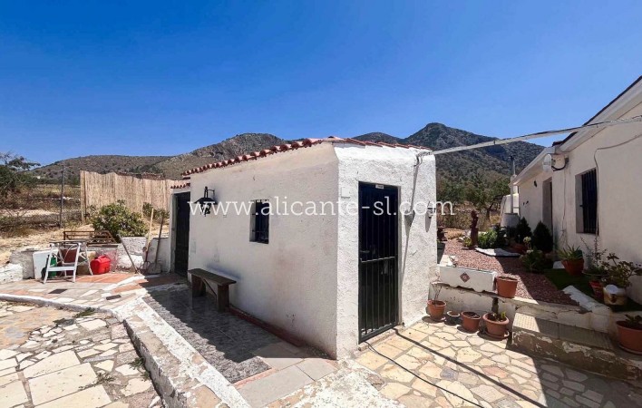 Sale - Country House - Algueña