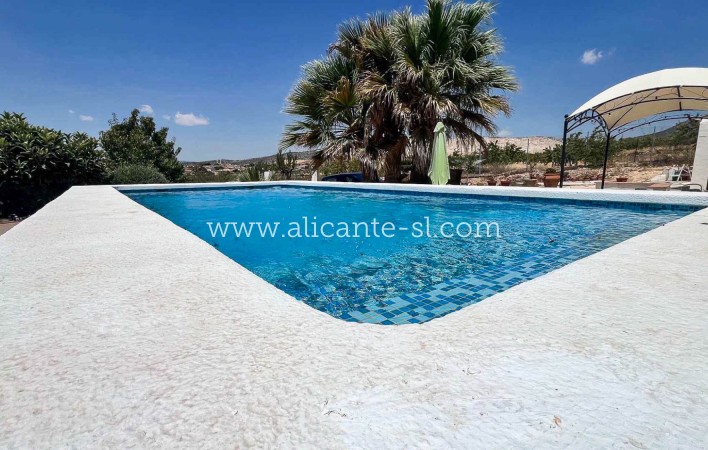 Sale - Country House - Algueña