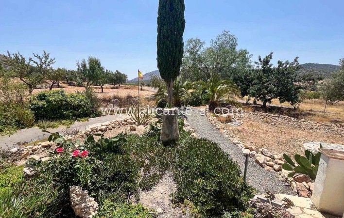Sale - Country House - Algueña