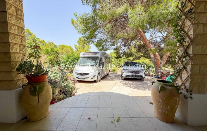 Sale - Finca - Hondón de las Nieves