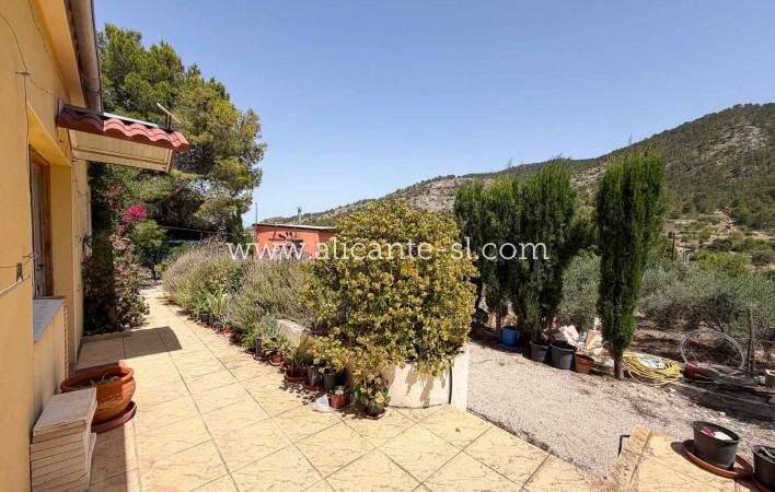 Sale - Finca - Hondón de las Nieves