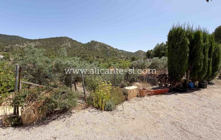 Sale - Finca - Hondón de las Nieves