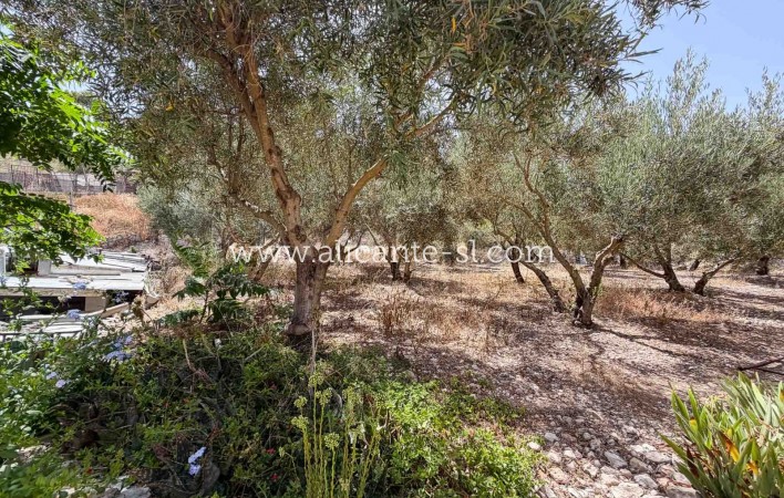 Sale - Finca - Hondón de las Nieves