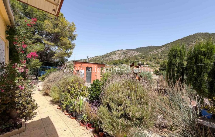 Sale - Finca - Hondón de las Nieves