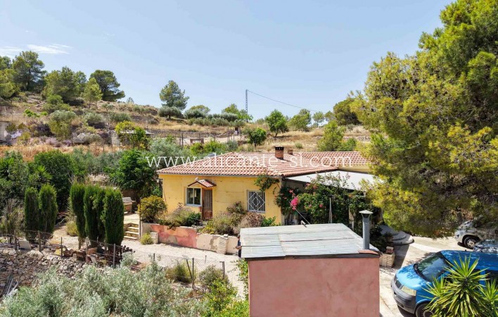 Sale - Finca - Hondón de las Nieves