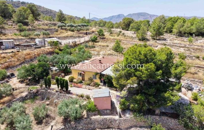 Sale - Finca - Hondón de las Nieves