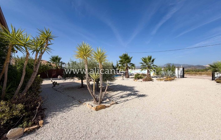 Sale - Villa  - Macisvenda