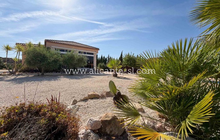 Sale - Villa  - Macisvenda