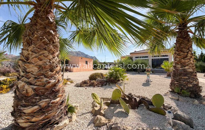 Sale - Villa  - Macisvenda