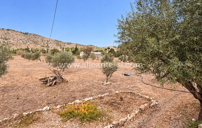 Sale - Finca - Hondón de las Nieves