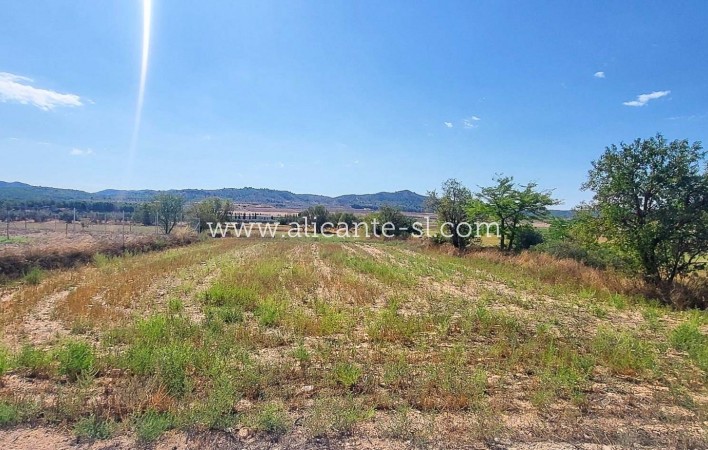Sale - Villa  - Caudete