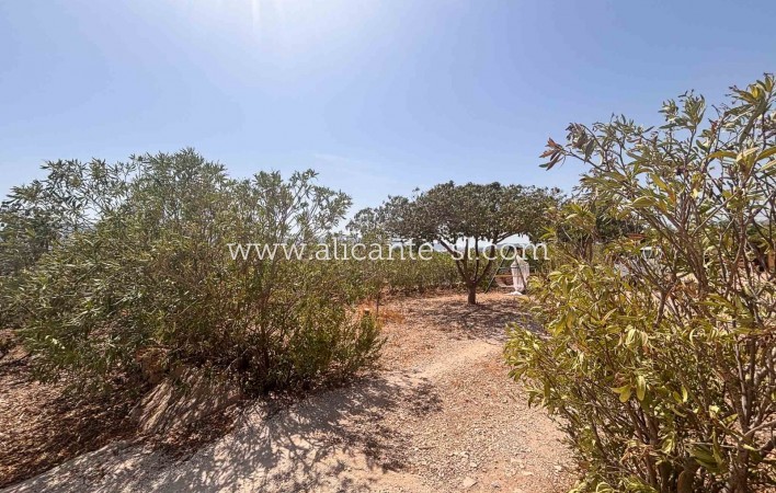 Resale - Landhaus - Hondón de las Nieves