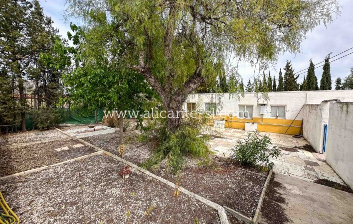 Sale - Finca - Aspe