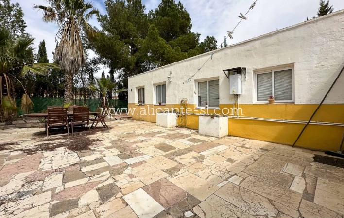 Sale - Finca - Aspe