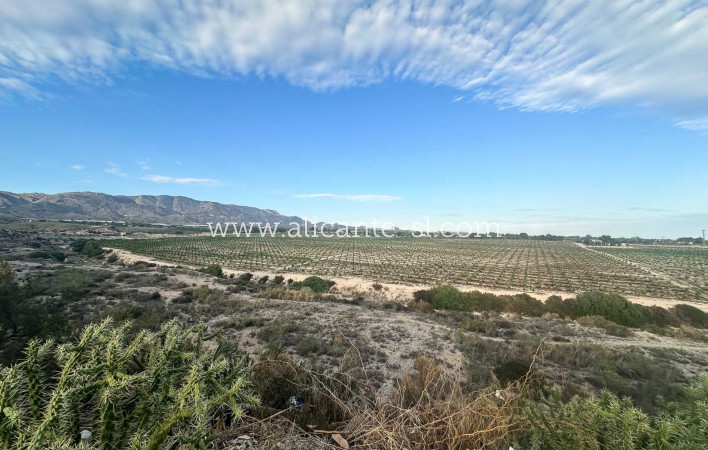 Venta - Villa  - Albatera