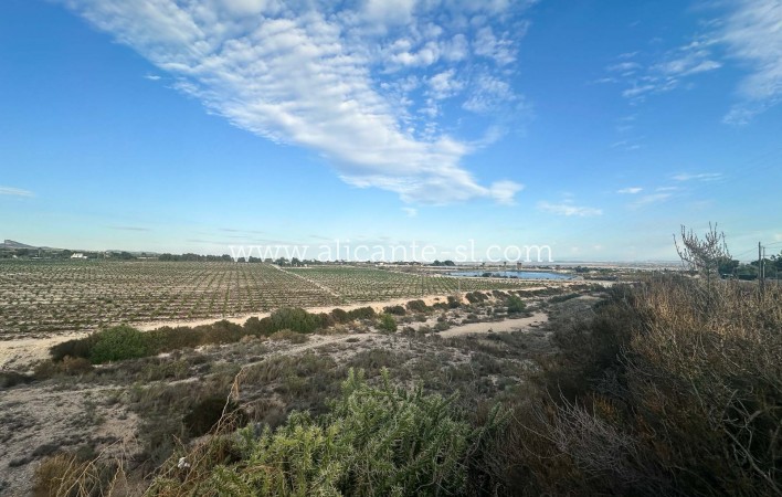 Venta - Villa  - Albatera