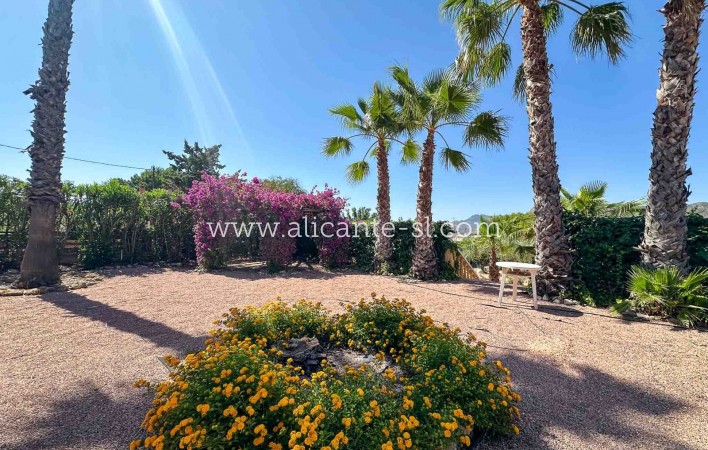Sale - Villa  - Aspe