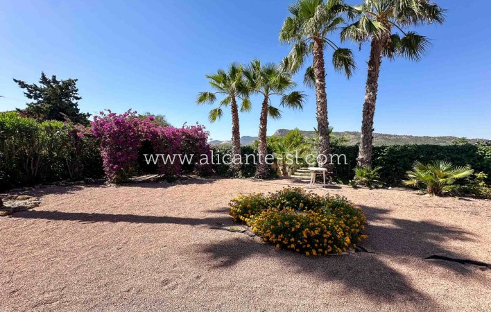 Sale - Villa  - Aspe