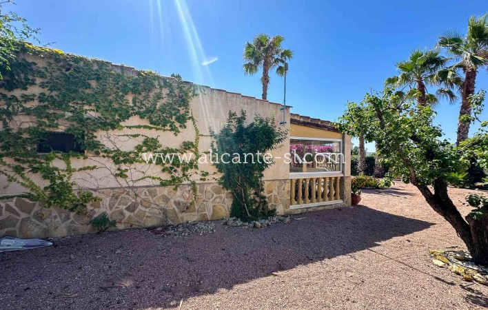 Sale - Villa  - Aspe