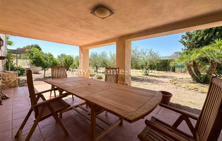 Sale - Villa  - Aspe