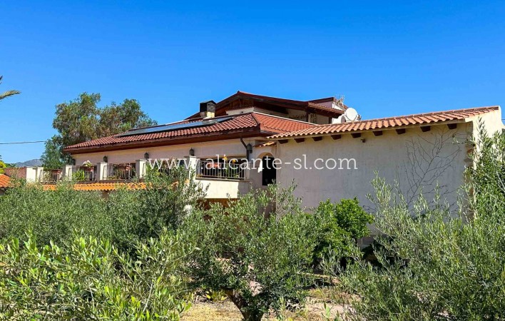 Sale - Villa  - Aspe