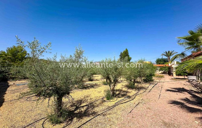 Sale - Villa  - Aspe