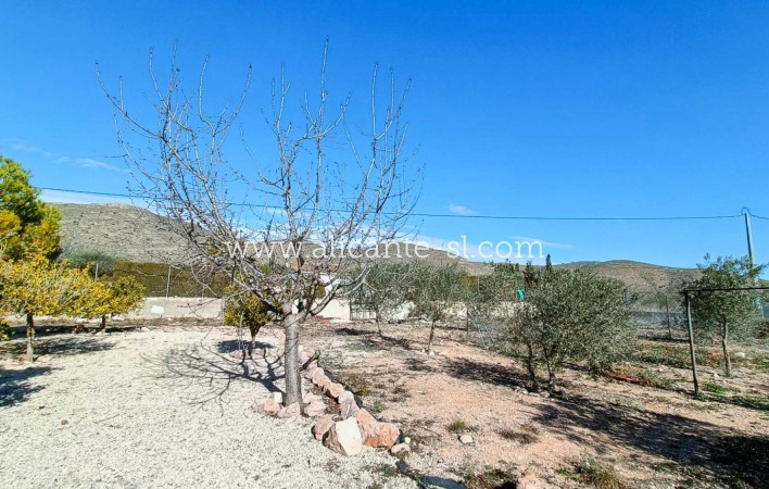 Sale - Villa  - Hondón de los Fráiles