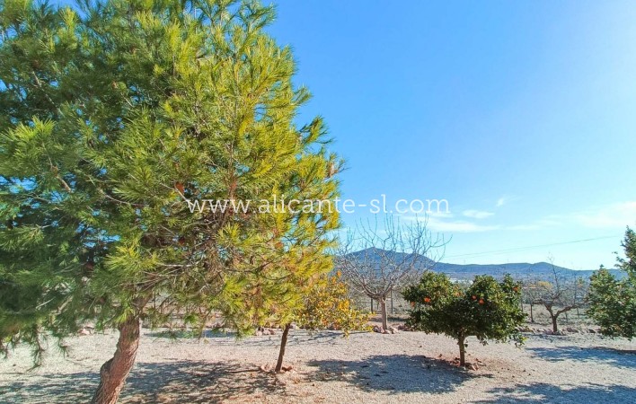 Sale - Villa  - Hondón de los Fráiles